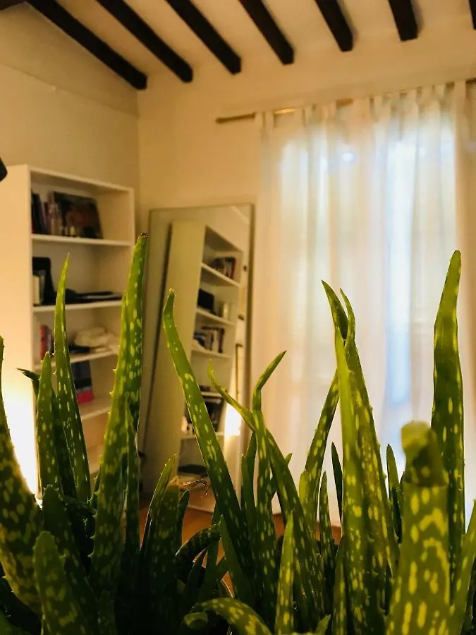 Moya Florence Apartment
